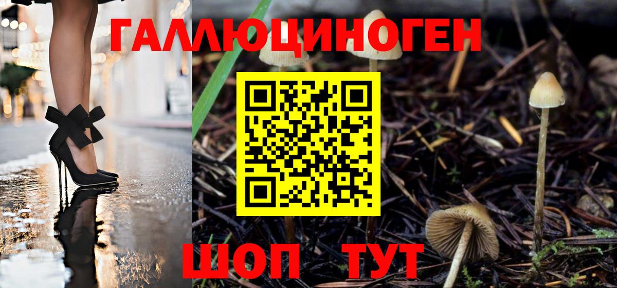 где можно купить   Псилоцибиновые грибы прущие грибы  Псилоцибиновые грибы ЛСД  Вход с VPN  Жигулёвск 
